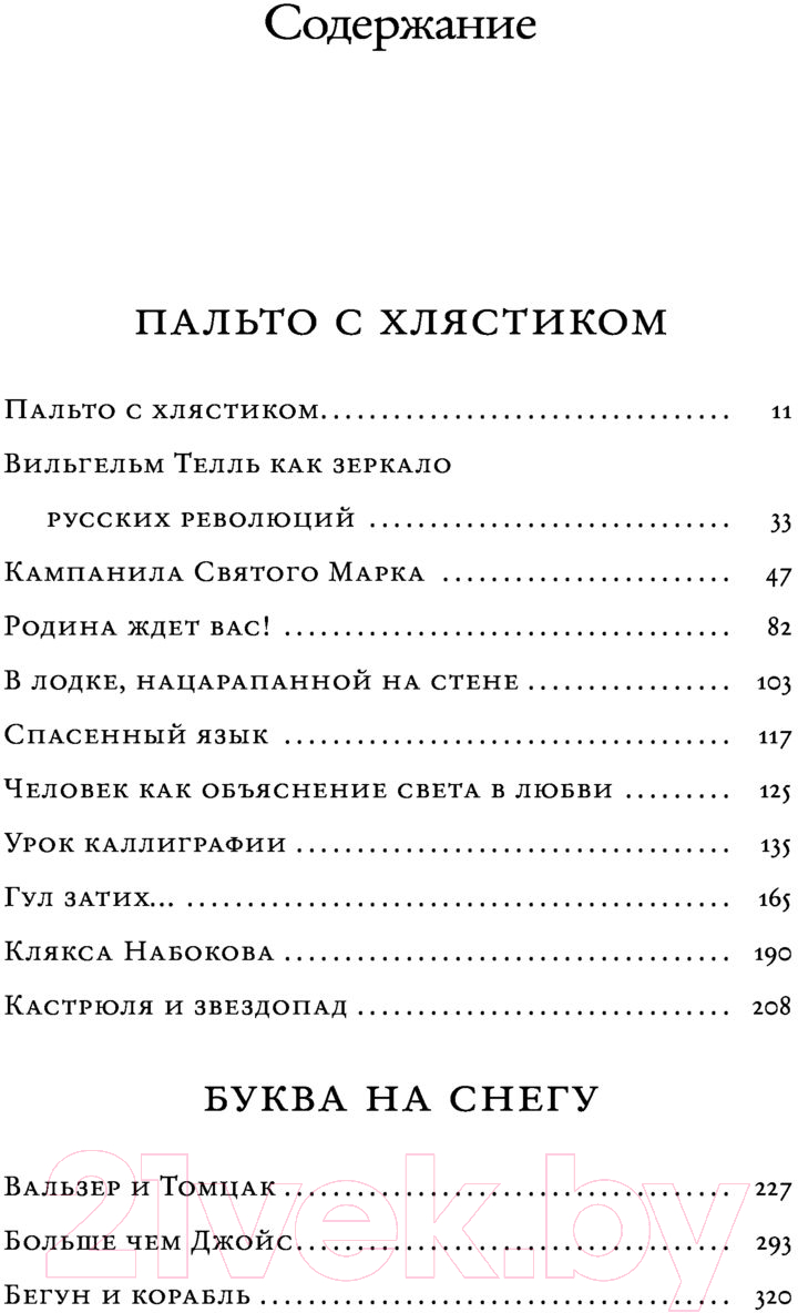 Художественная книга АСТ В лодке, нацарапанной на стене (Шишкин М.) — фото 5