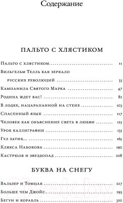 Книга АСТ В лодке, нацарапанной на стене (Шишкин М.)
