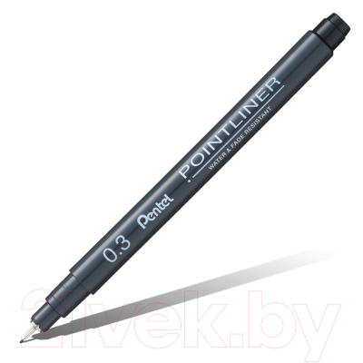 Изображение товара Ручка капиллярная Pentel Pointliner / S20P-3A