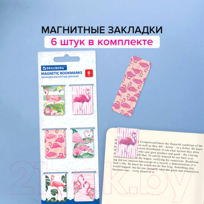 Набор закладок Brauberg Flamingo / 113165 (6шт)