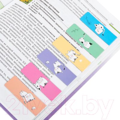 Набор закладок Brauberg Cats / 113159 (6шт)