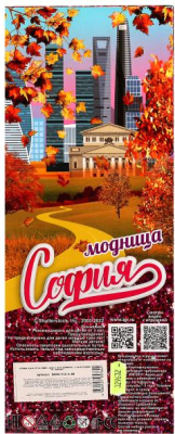 Кукла с аксессуарами Карапуз София / 66001-F12-S-BB