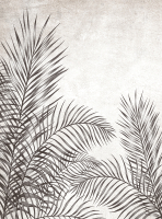 Фотообои листовые Vimala Пальмовые листья 5 (270x200) - 