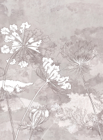 Фотообои листовые Vimala Полевые цветы 2 (270x200) - 