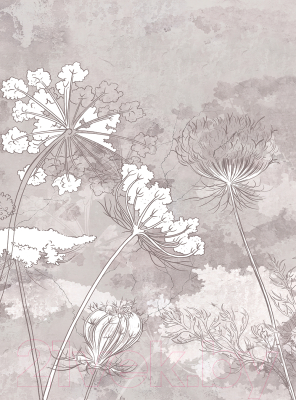 Фотообои листовые Vimala Полевые цветы 2 (270x200)