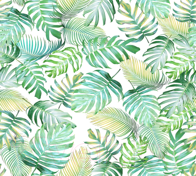 Фотообои листовые Vimala Монстера патерн (270x300)