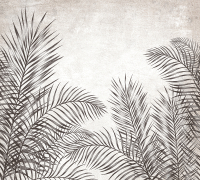 Фотообои листовые Vimala Пальмовые листья 5 (270x300) - 