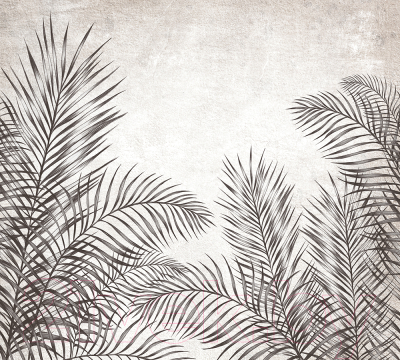 Фотообои листовые Vimala Пальмовые листья 5 (270x300)