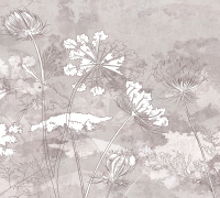 Фотообои листовые Vimala Полевые цветы 2 (270x300) - 