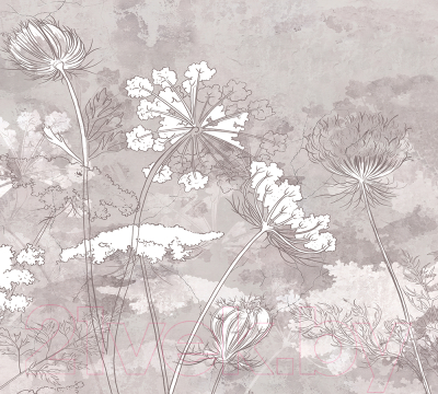 Фотообои листовые Vimala Полевые цветы 2 (270x300)