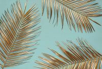 Фотообои листовые Vimala Листья пальмы (270x400) - 