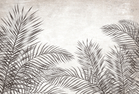 Фотообои листовые Vimala Пальмовые листья 5 (270x400) - 