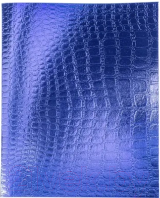 Изображение товара Тетрадь Hatber Metallic Croco / 48Т5бвВ1 (48л, синий)