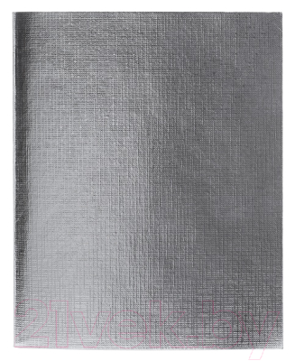 Изображение товара Тетрадь Hatber Metallic / 48Т5бвВ1 (48л, серебристый)
