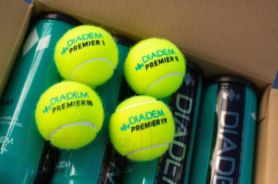 Набор теннисных мячей Diadem Premier All Court / BALL-4CASE-ALLCRT (4шт)
