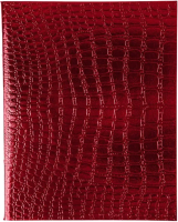 

Тетрадь Hatber, Metallic Croco / 48Т5бвВ1