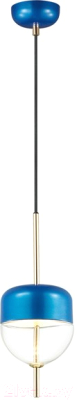 

Потолочный светильник Odeon Light, Pamfa 4621/12L