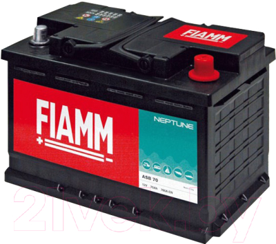 Автомобильный аккумулятор Fiamm MAR 450 Neptune (100 А/ч)