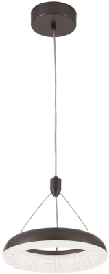 Потолочный светильник Citilux Паркер CL225115r