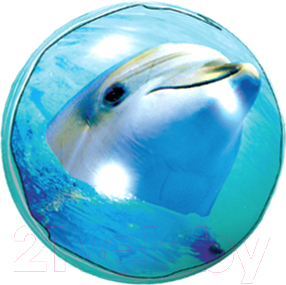 Мяч детский Dema-Stil Дельфины / DS-PP 010