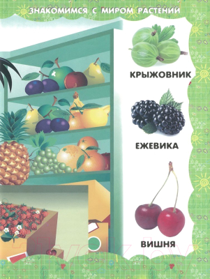 Изображение товара Развивающая книга Харвест В саду и огороде