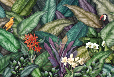 Фотообои листовые Vimala Тропики и птицы (270x400)