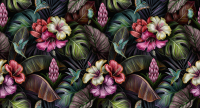Фотообои листовые Vimala Тропические колибри (270x500) - 