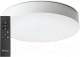 Потолочный светильник Feron Simple Matte AL6200 / 48069 - 