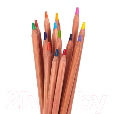 Набор цветных карандашей Astra Prestige / 312117003 (36цв)