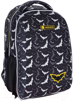 Школьный рюкзак Astra Night Bats / 501022002 (черный)