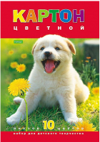 

Набор цветного картона Hatber, Белый щенок / 10Кц4_03414