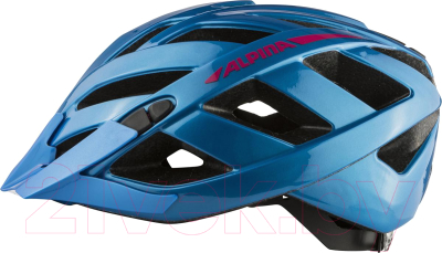 Защитный шлем Alpina Sports Panoma 2.0 True / A9724-84 (р-р 52-57)