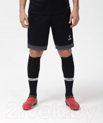 Гетры футбольные Jogel Camp Advanced Socks / JC1GA0325.99 (р-р 43-45, черный/белый)