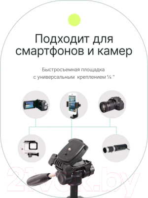 Штатив RayLab Travel 63 (с головой)