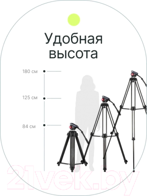 Штатив RayLab RL-8018FS