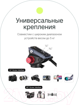 Штатив RayLab RL-8018FS