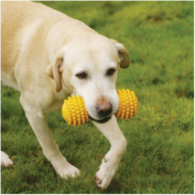 Игрушка для собак Rosewood Гантель / 20083 (желтый)