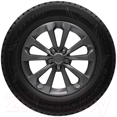 Зимняя шина Dunlop Grandtrek Ice 02 315/35R20 110T (шипы)