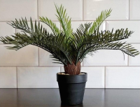 

Искусственное растение ForGarden, Пальма 317002260 / BF01035