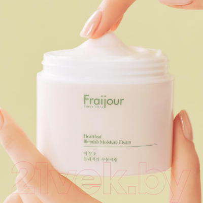 Изображение товара Крем для лица Fraijour Heartleaf Blemish Moisture Cream (100мл)
