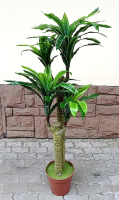Искусственное растение ForGarden Драцена / BF00044 - 