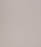 Рулонная штора LEGRAND Лайт 61.5x175 / 58095212 (светло-серый) - 