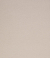 Рулонная штора LEGRAND Лестер 52x175 / 58095305 (светло-серый) - 
