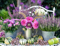 

Набор алмазной вышивки РЫЖИЙ КОТ, Красоты из сада / AS34058