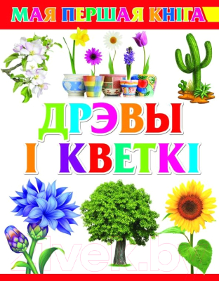 Изображение товара Развивающая книга Харвест Дрэвы i кветкi