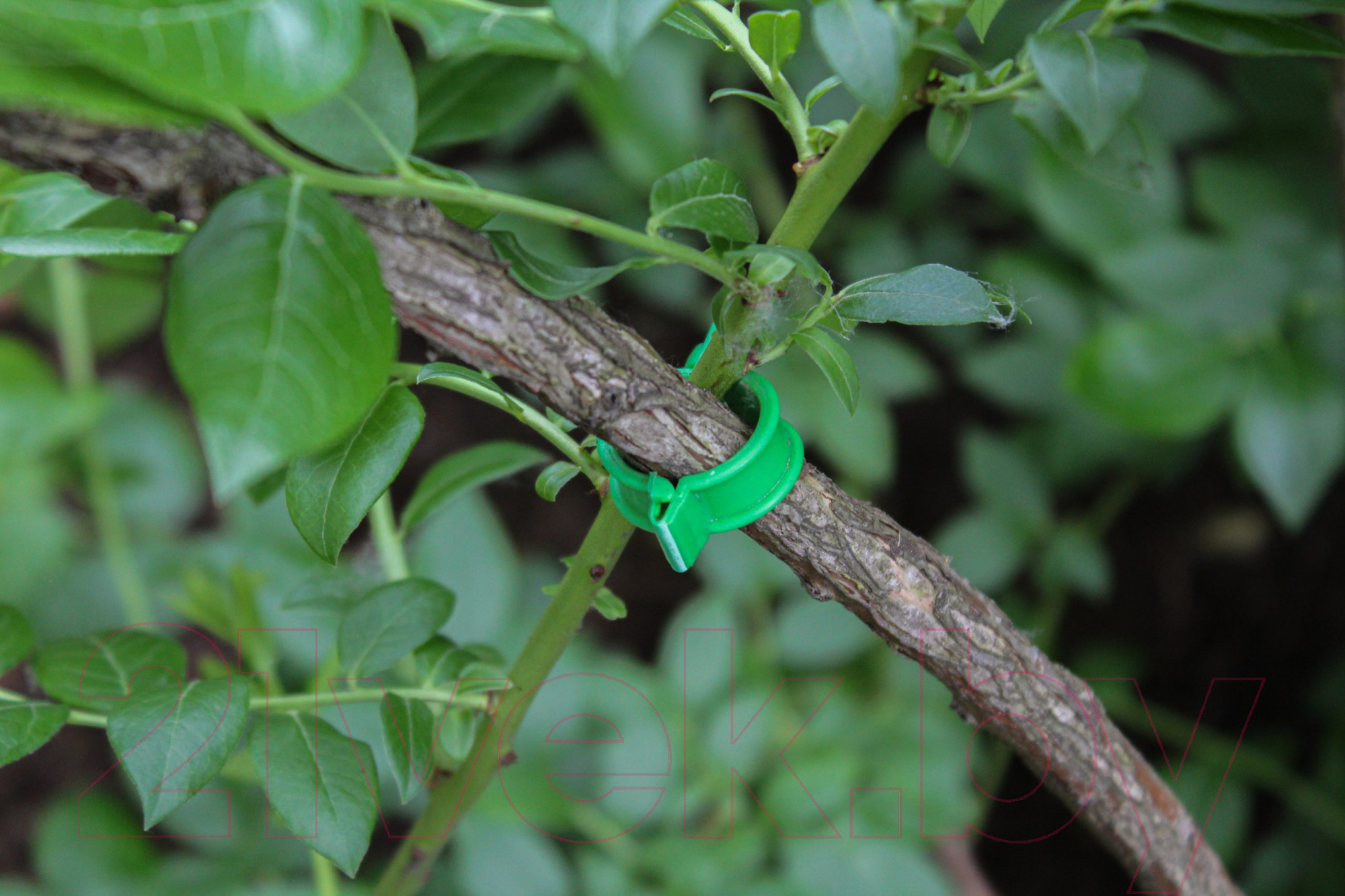Набор для подвязки растений Gardenplast 50114 (100шт) — фото 8