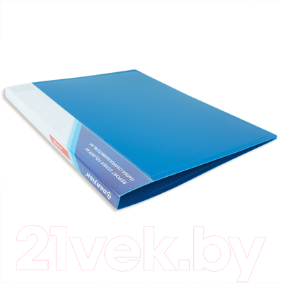 Папка для бумаг Darvish DV-4710A-BL (синий)