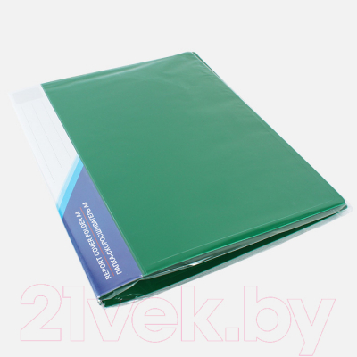 Папка для бумаг Darvish DV-4710A-GN (зеленый)