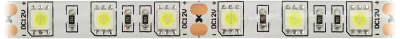 Светодиодная лента ЭРА LS5050-14.4-60-12-6500K-IP65-2 year-5m / Б0044119