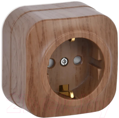 Изображение товара Розетка IEK Glory ERH14-K24-16 (дуб)